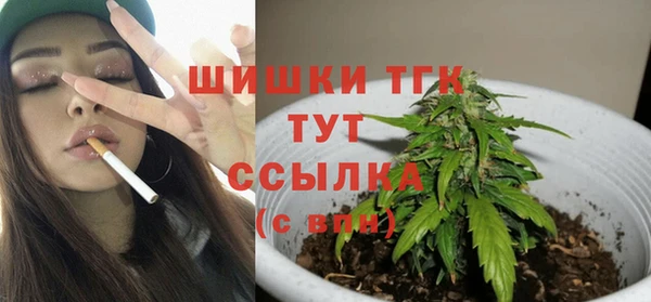 прущие крисы Заводоуковск