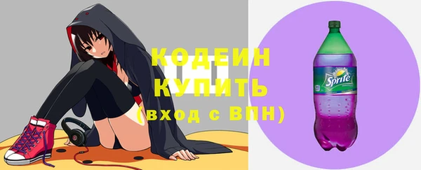 прущие крисы Заводоуковск