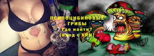 прущие крисы Заводоуковск